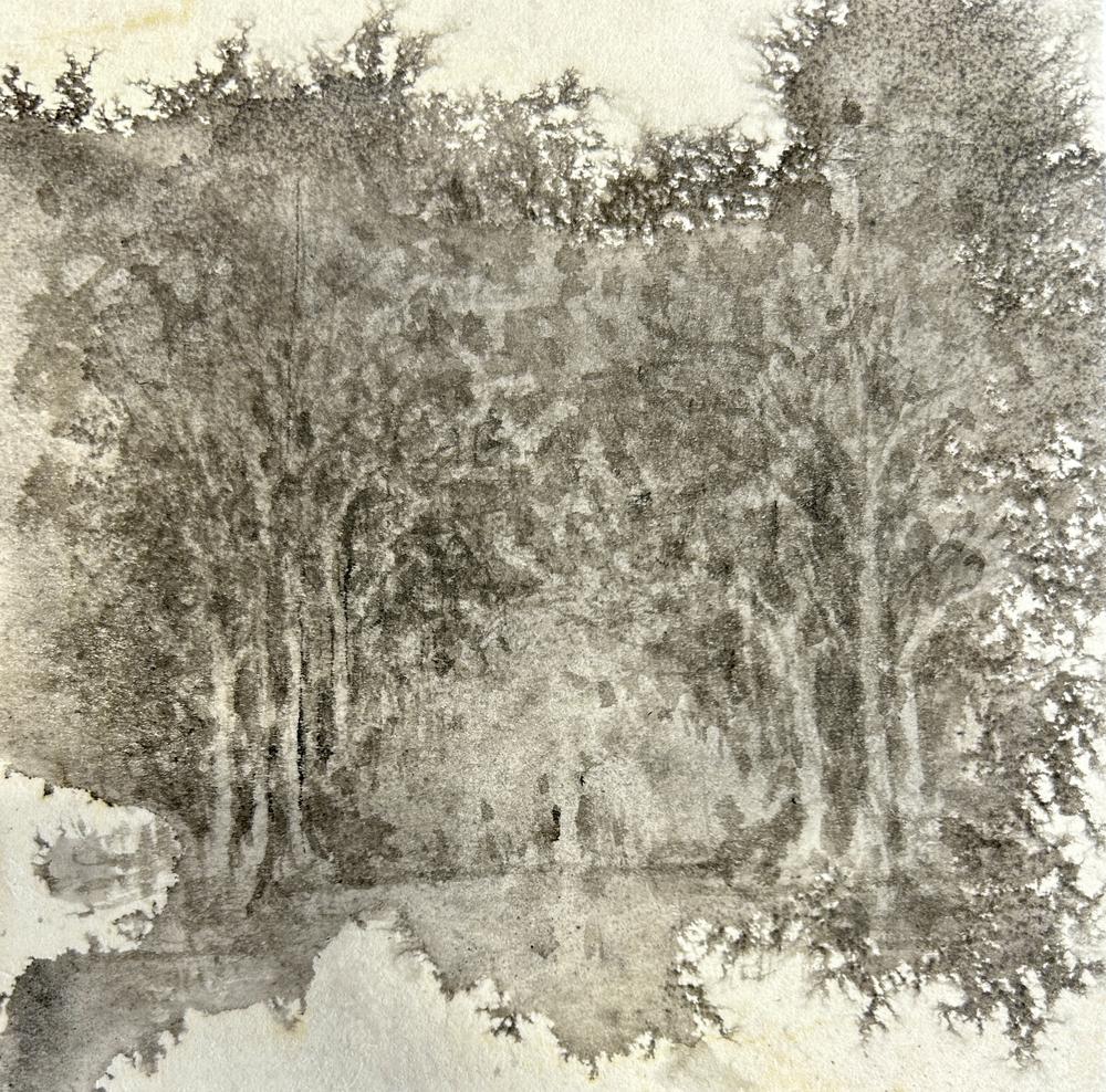 Through the Forest 2