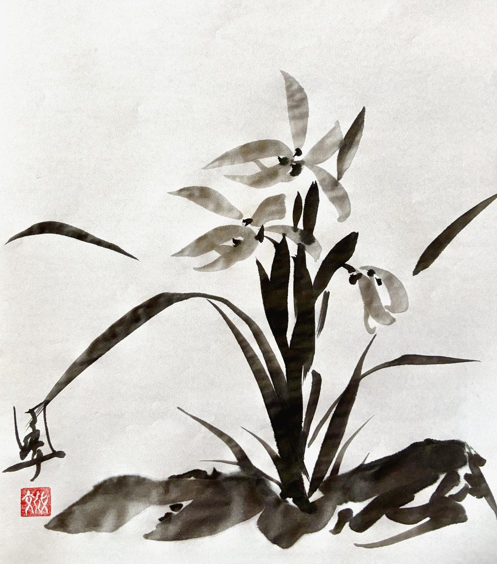 Orchid