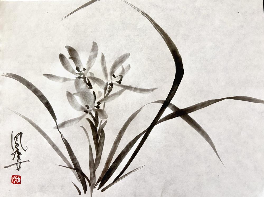 Orchid 2