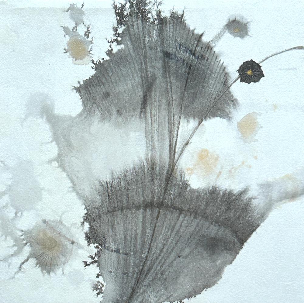 A Piece of Akasha 11