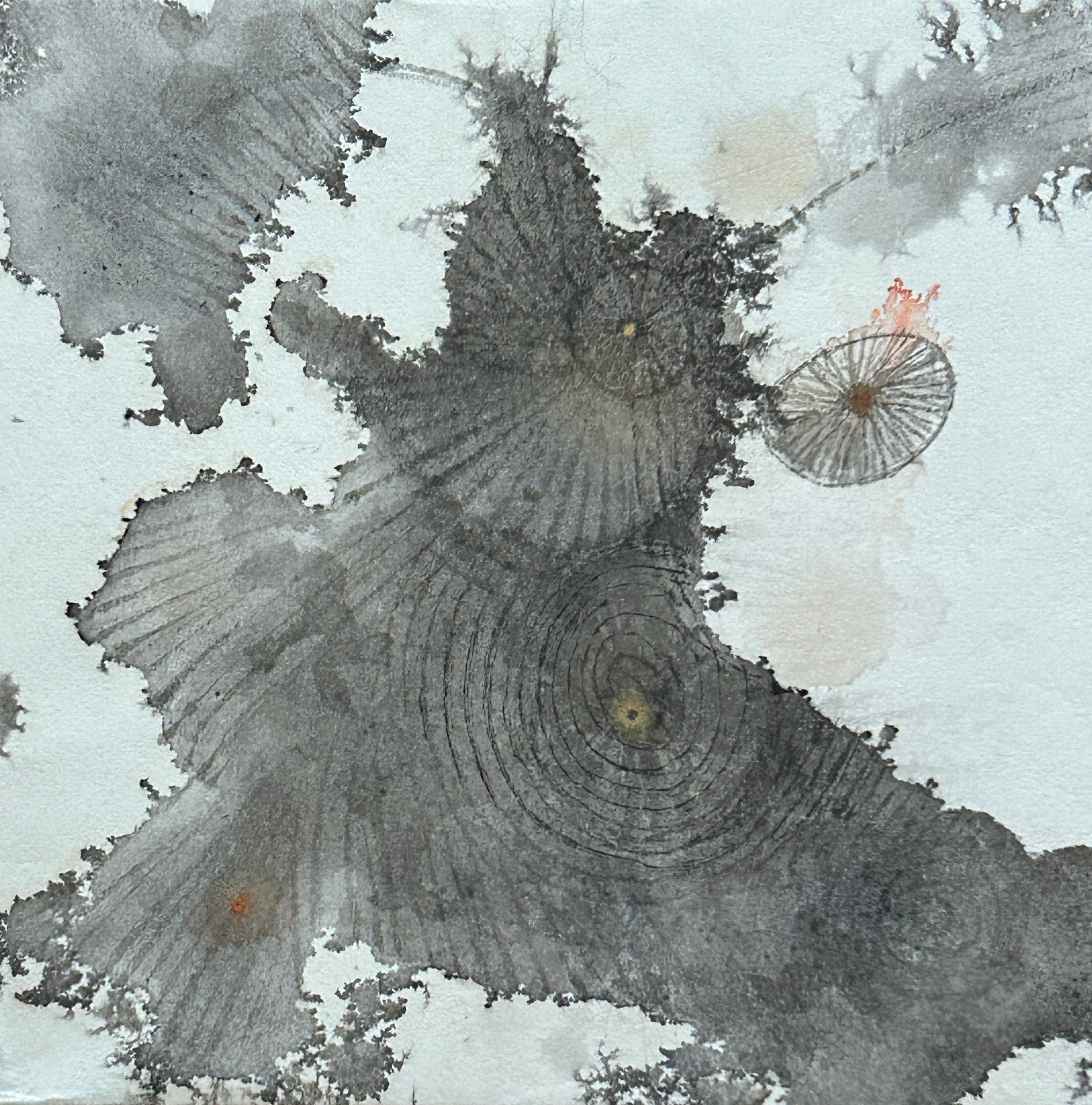 A Piece of Akasha 13