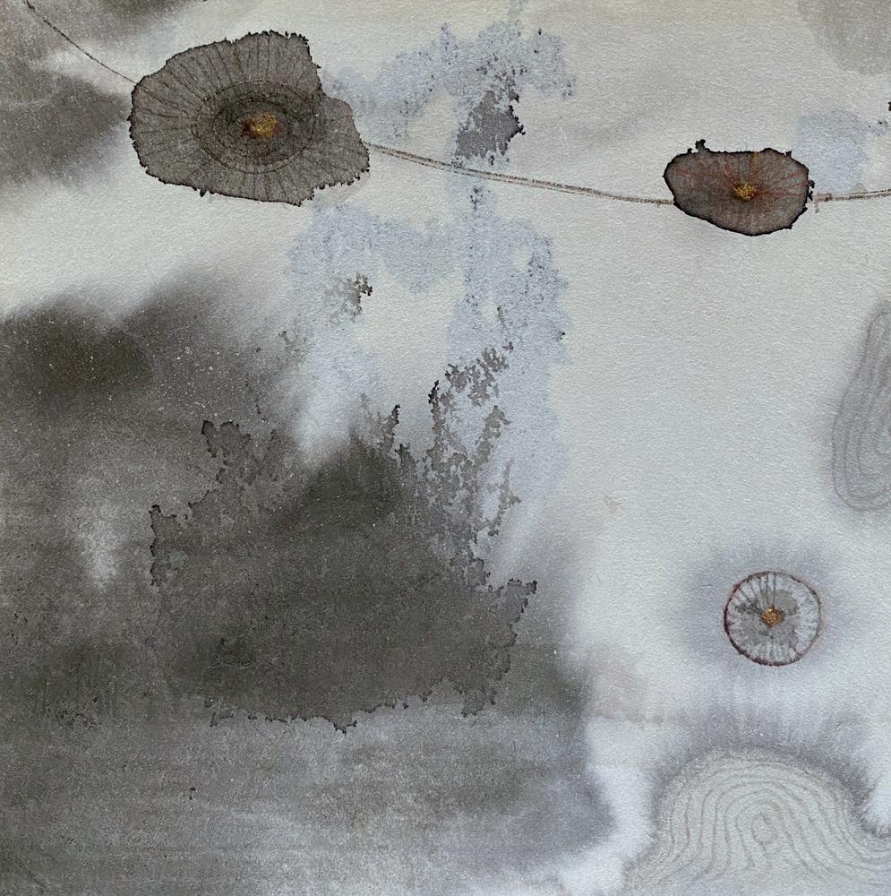 A Piece of Akasha 3