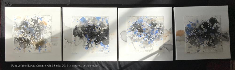 (Untitled)