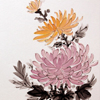 Chrysanthemums