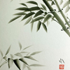 Bamboo