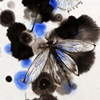 Memory 5 — Kagerou