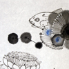 Fish and Flower