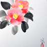 Camellias