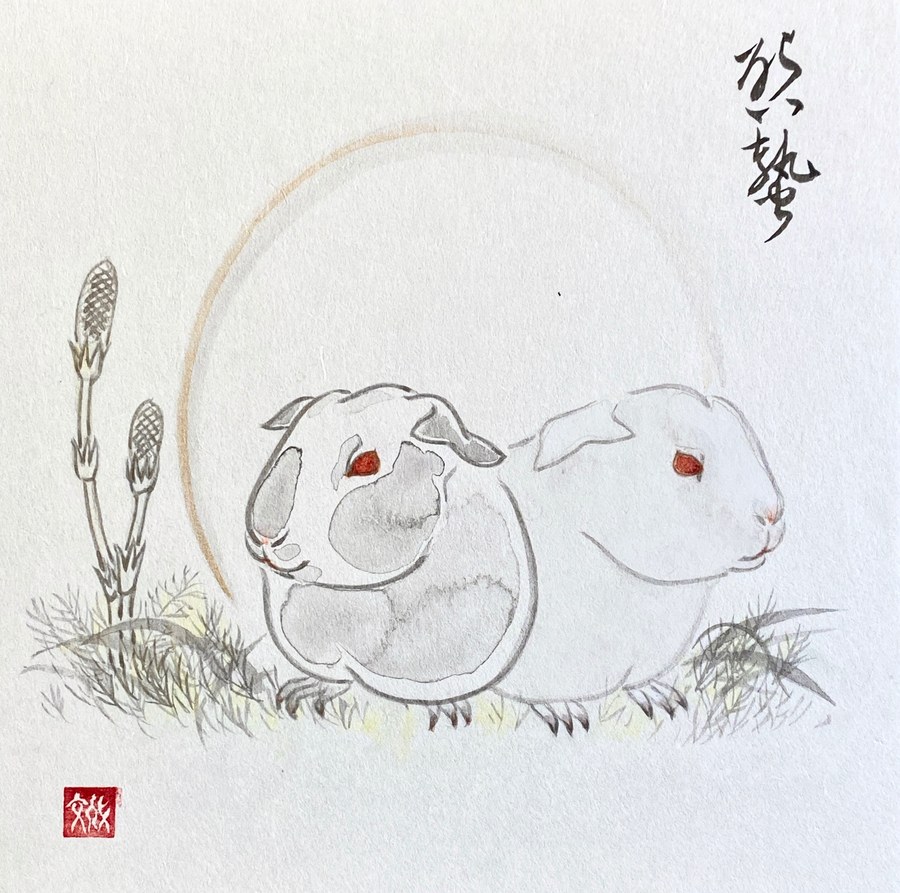 ©Yoshikawa_Fumiyo Every Life Matters 3 Spring Coming Out 2021