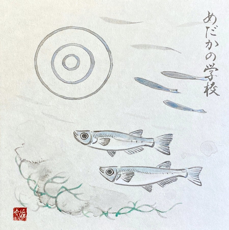©Yoshikawa_Fumiyo Every Life Matters 6 School of Medaka Fish 2021