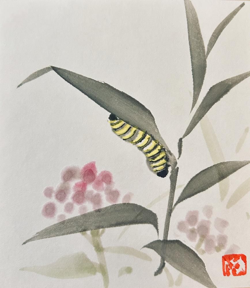 Caterpillar and Milkweed