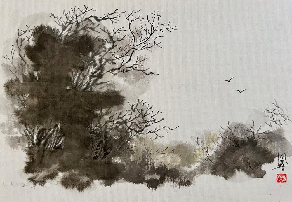 Beyond the Canopy