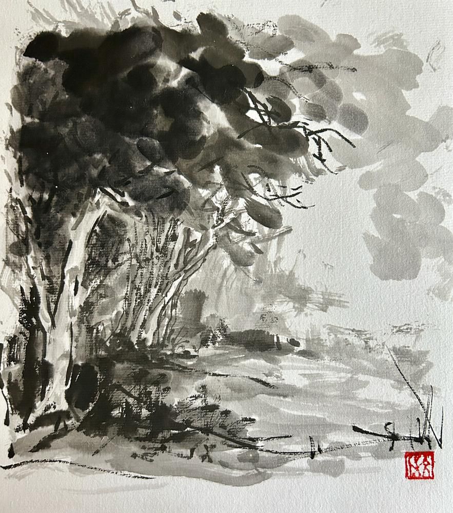 The Hill of Eucalyptus#5