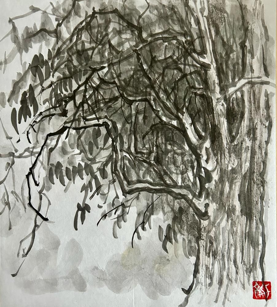 The Hill of Eucalyptus#6