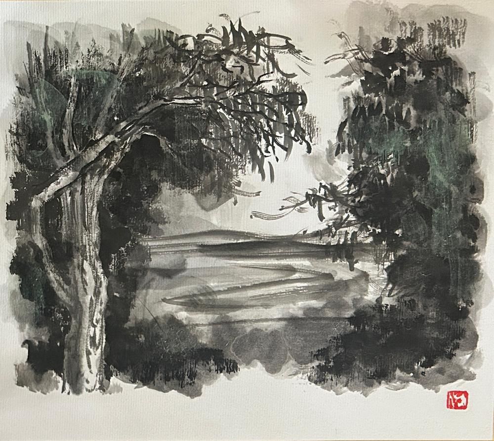 The Hill of Eucalyptus#7