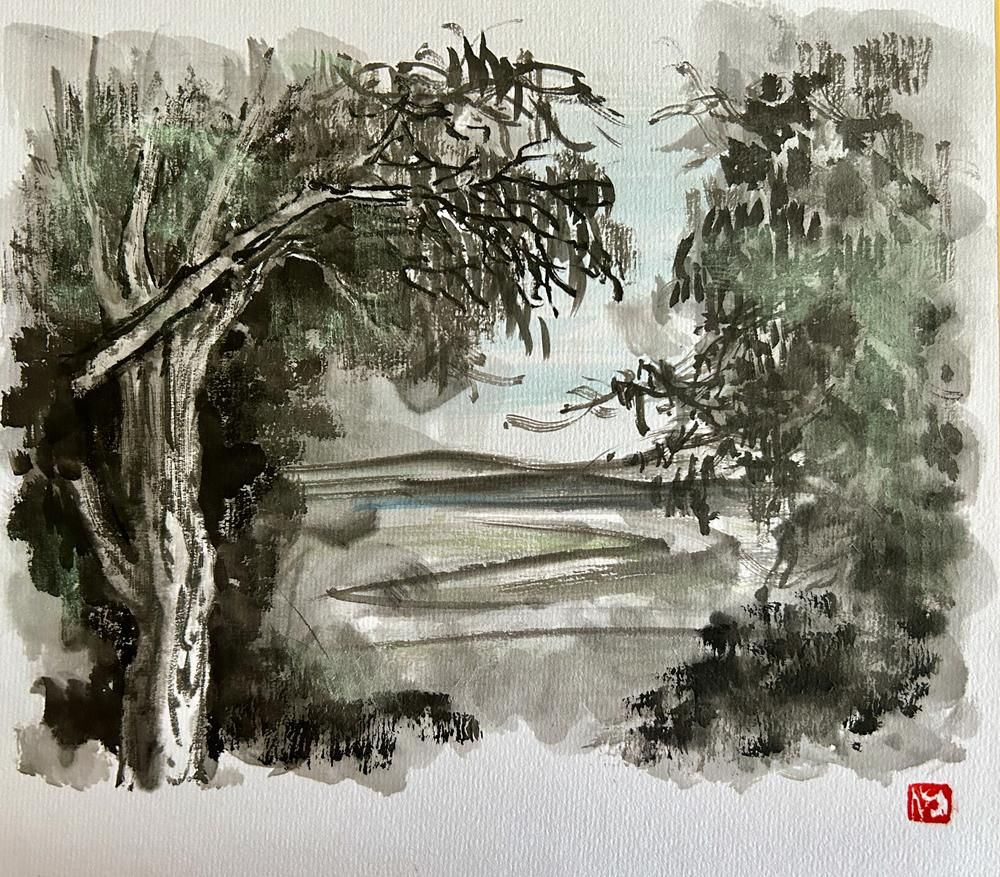 The Hill of Eucalyptus#7