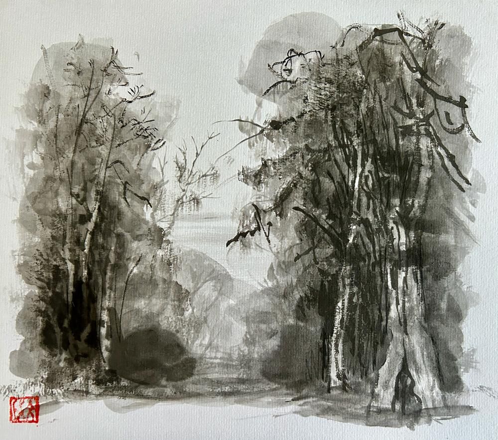 The Hill of Eucalyptus#9