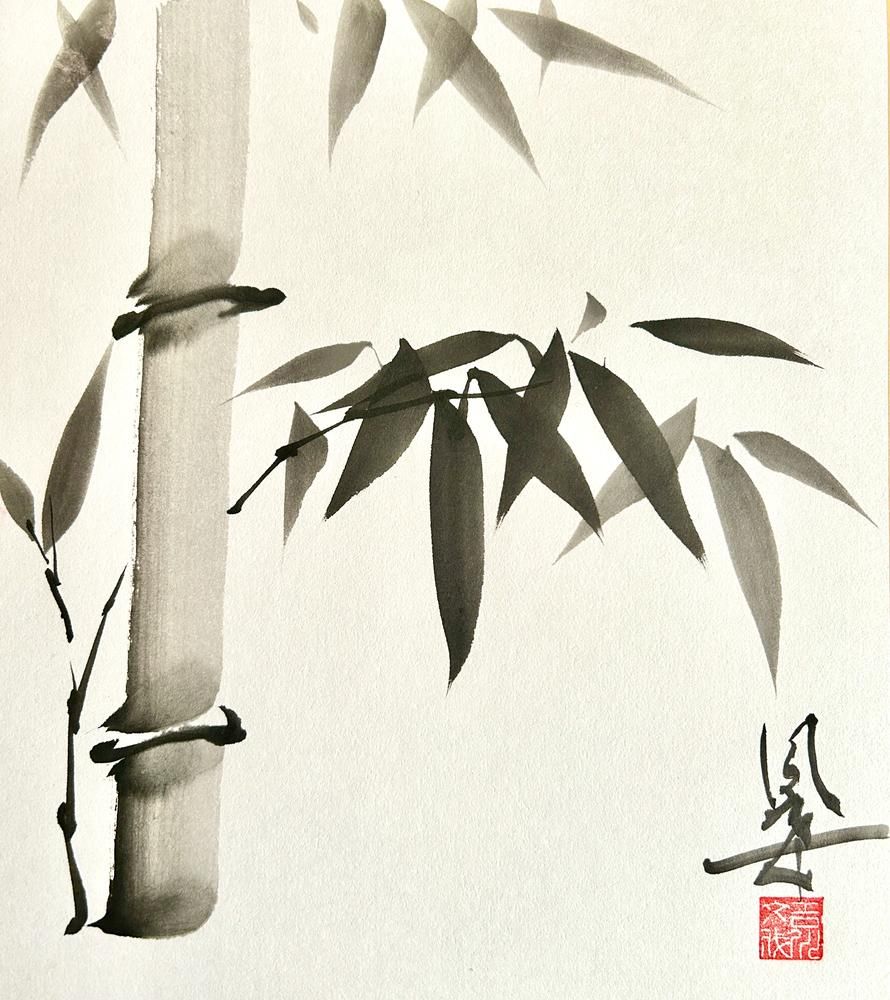 Bamboo 1