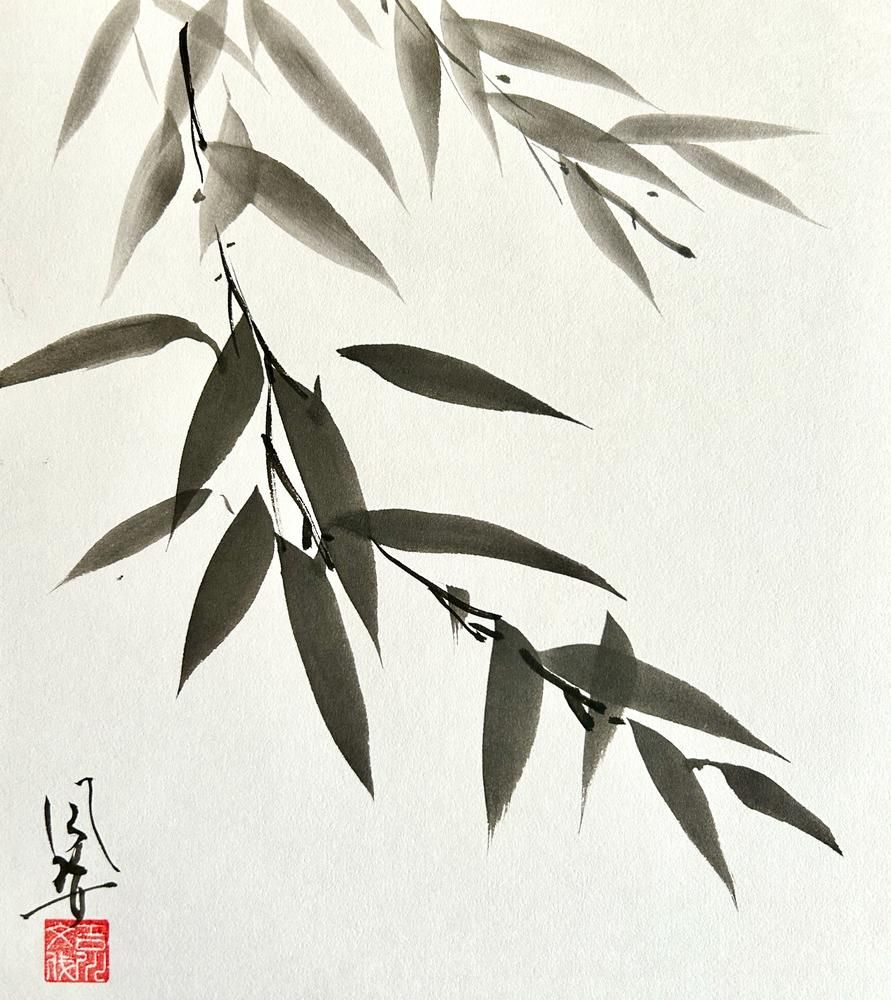 Bamboo 2
