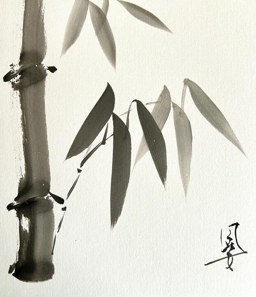 Bamboo 3