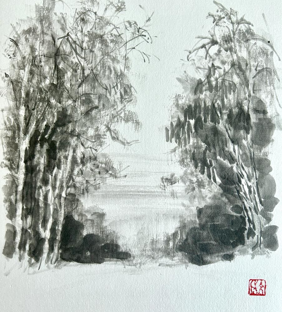 The Hill of Eucalyptus 10