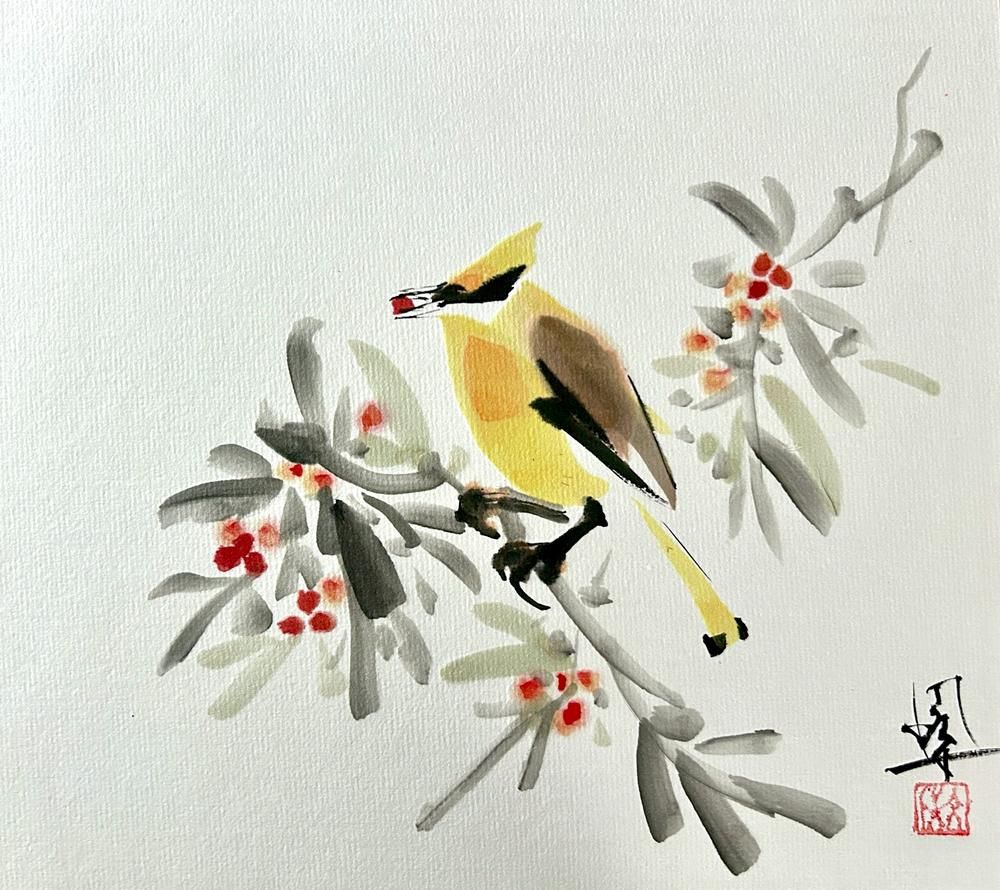Waxwing1