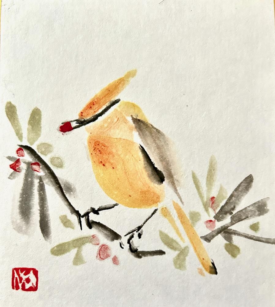 Waxwing2