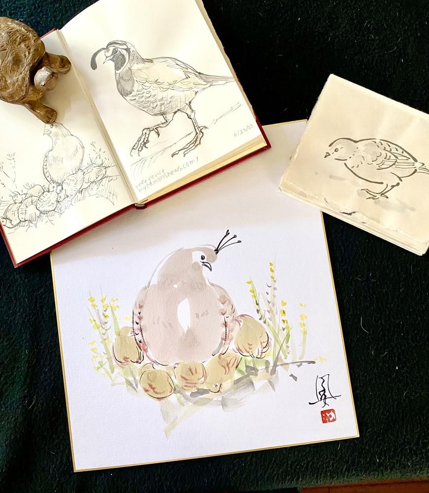 Family Quail, with Sketches