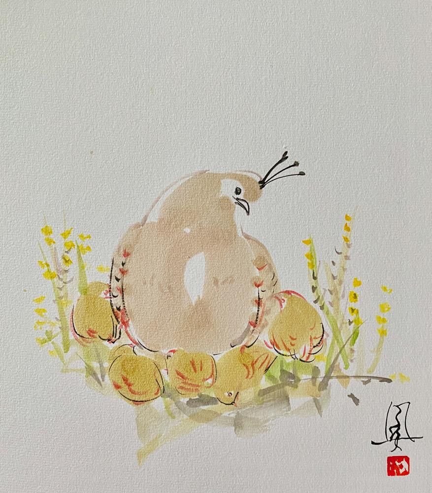 Family Quail