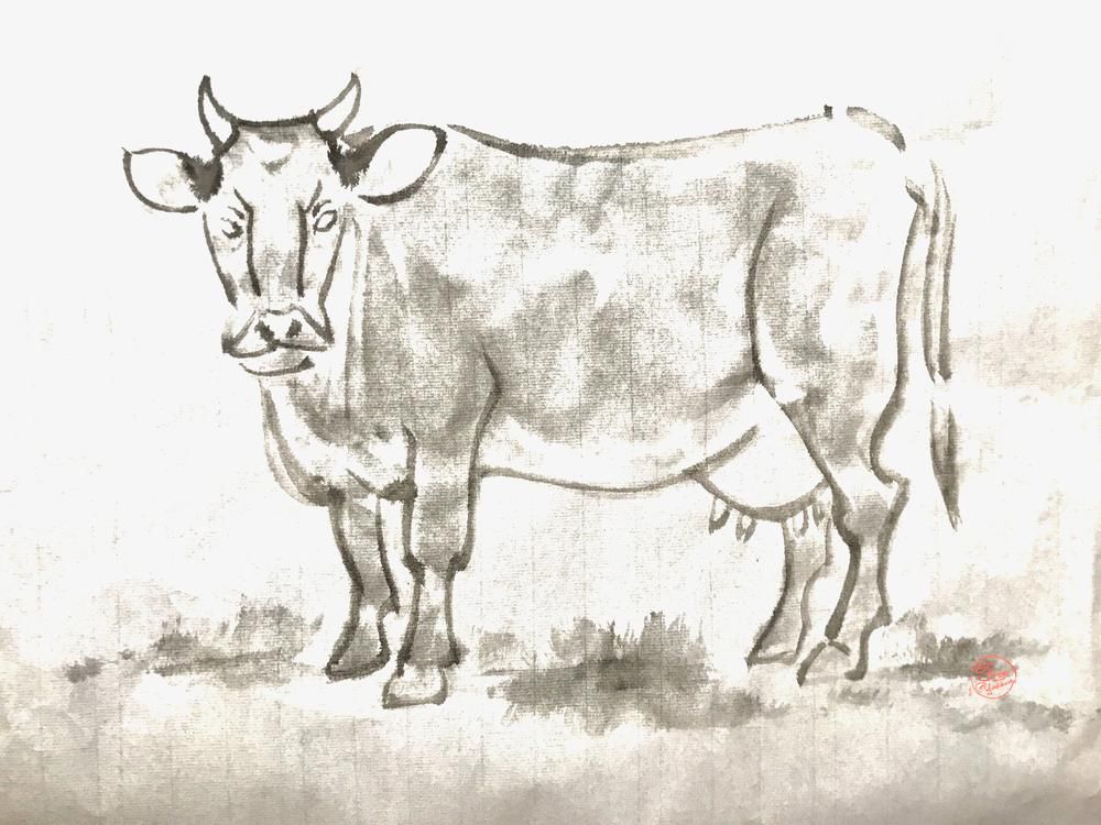 Cow