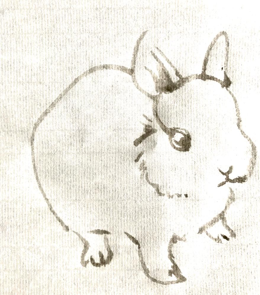 Kousagichan
