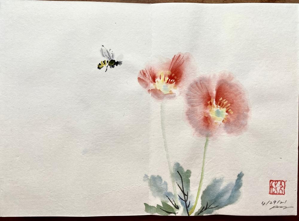 Sumisketch Poppies