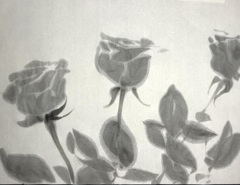 Roses
