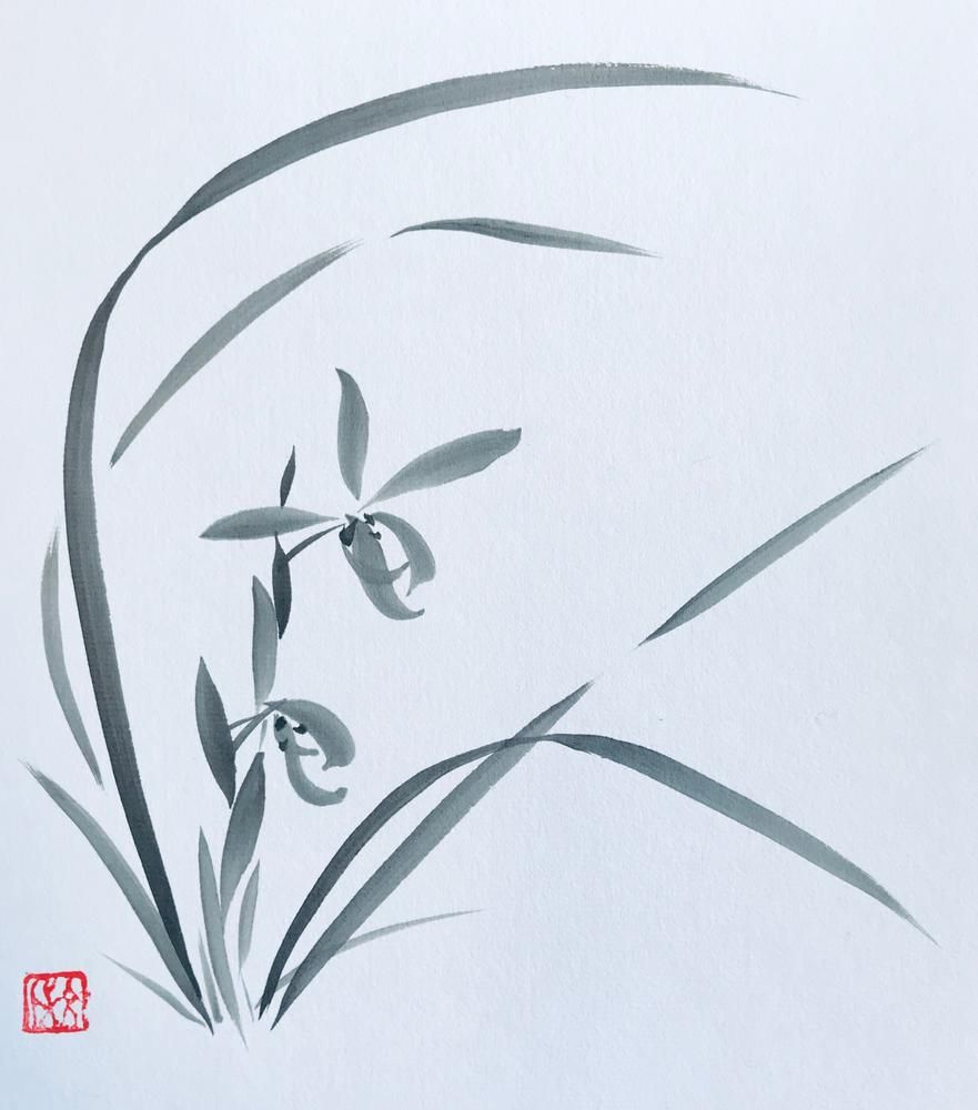 Wild Orchid