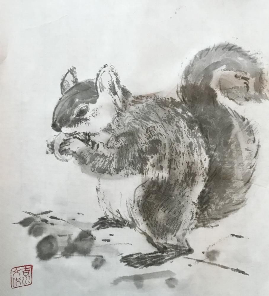 A Squarel
