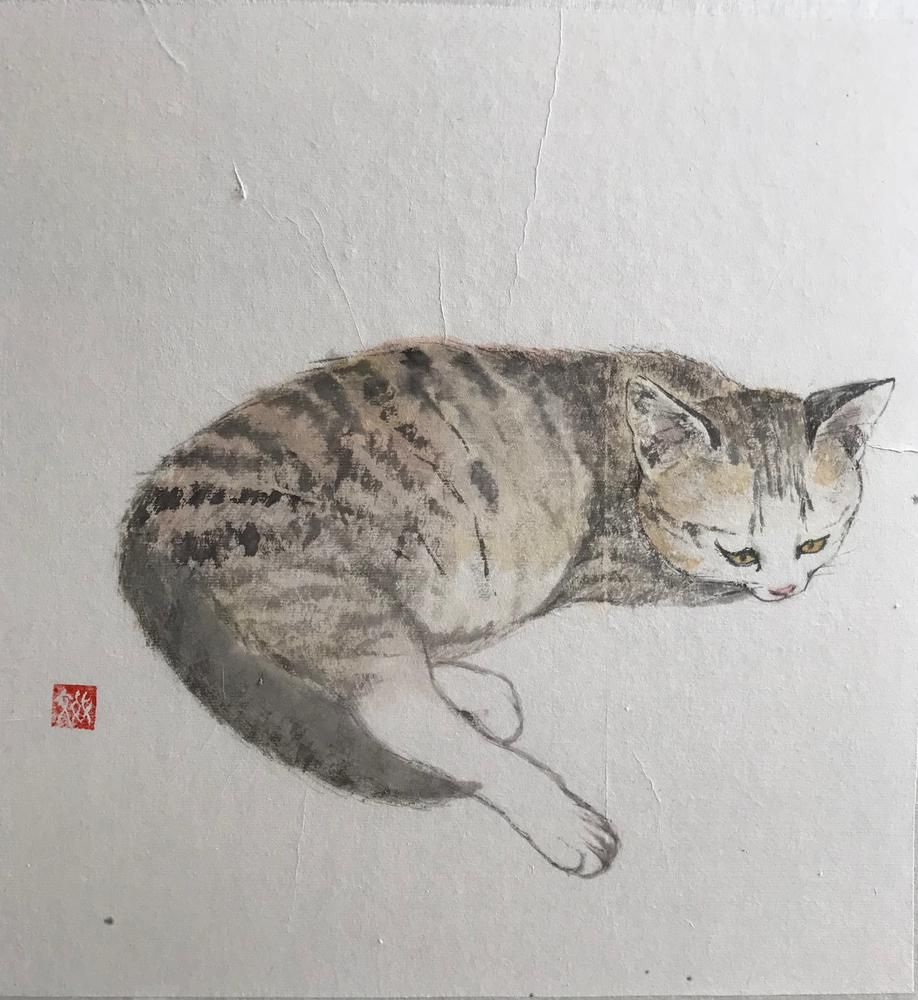 Cat Shasei