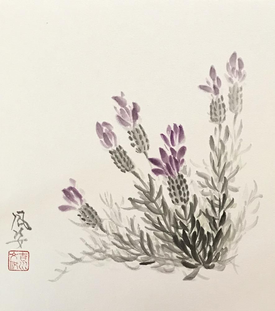 Lavendar