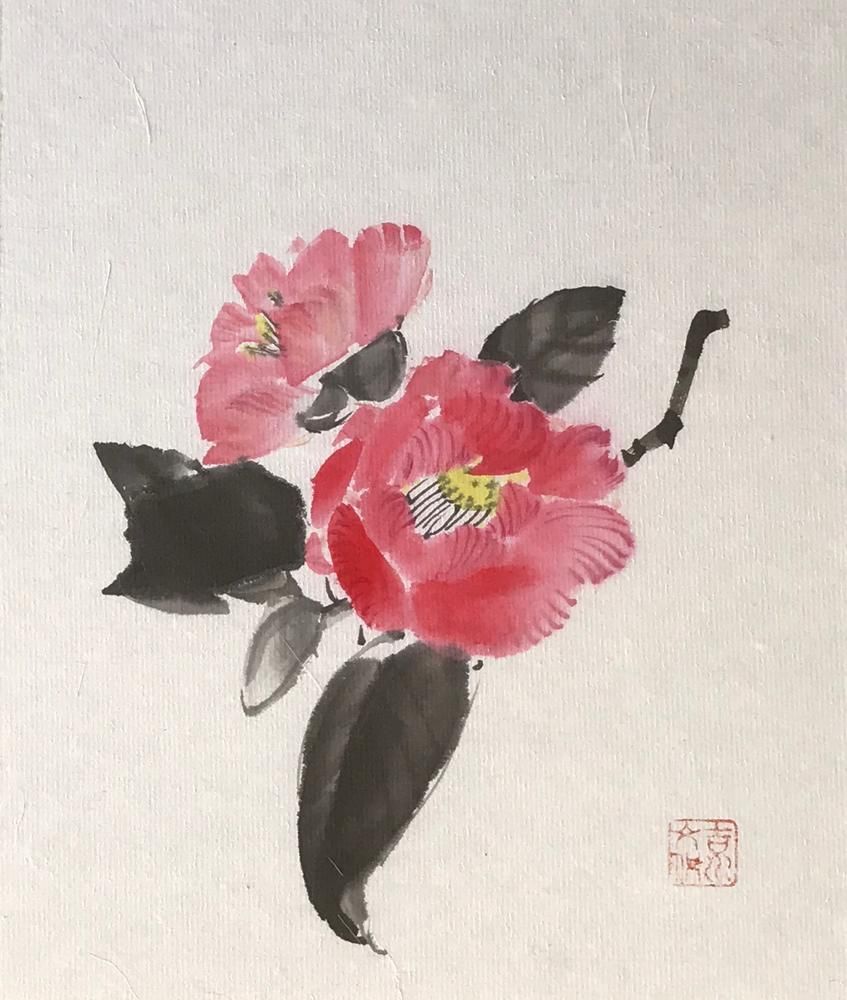 Camellias
