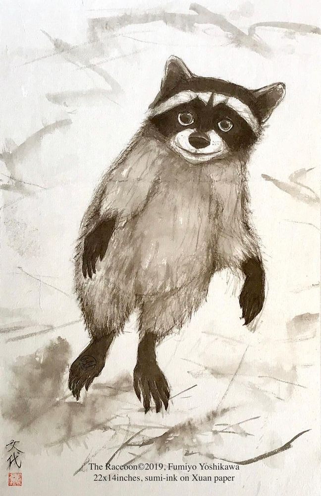 Sumie sketch raccoon 22x14