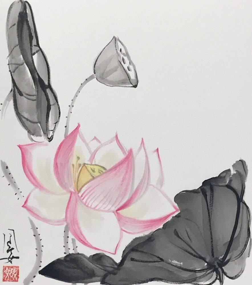 Lotus