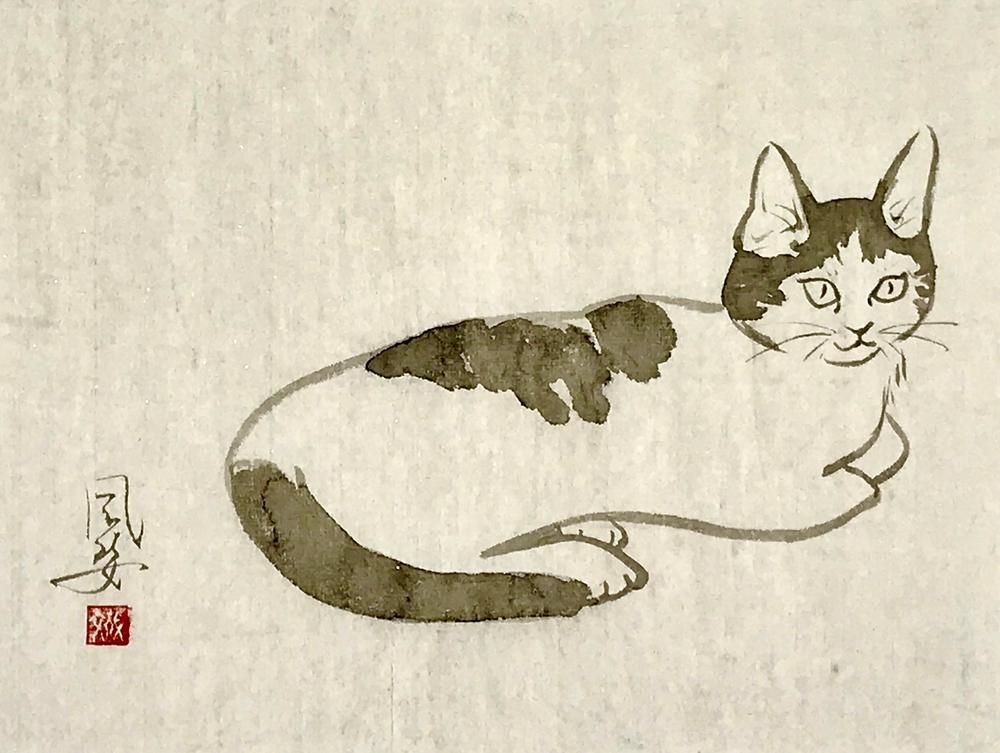 The Cat