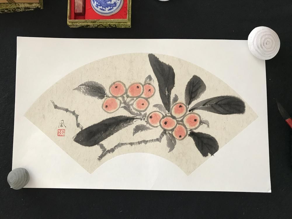 Biwa in Ogi
