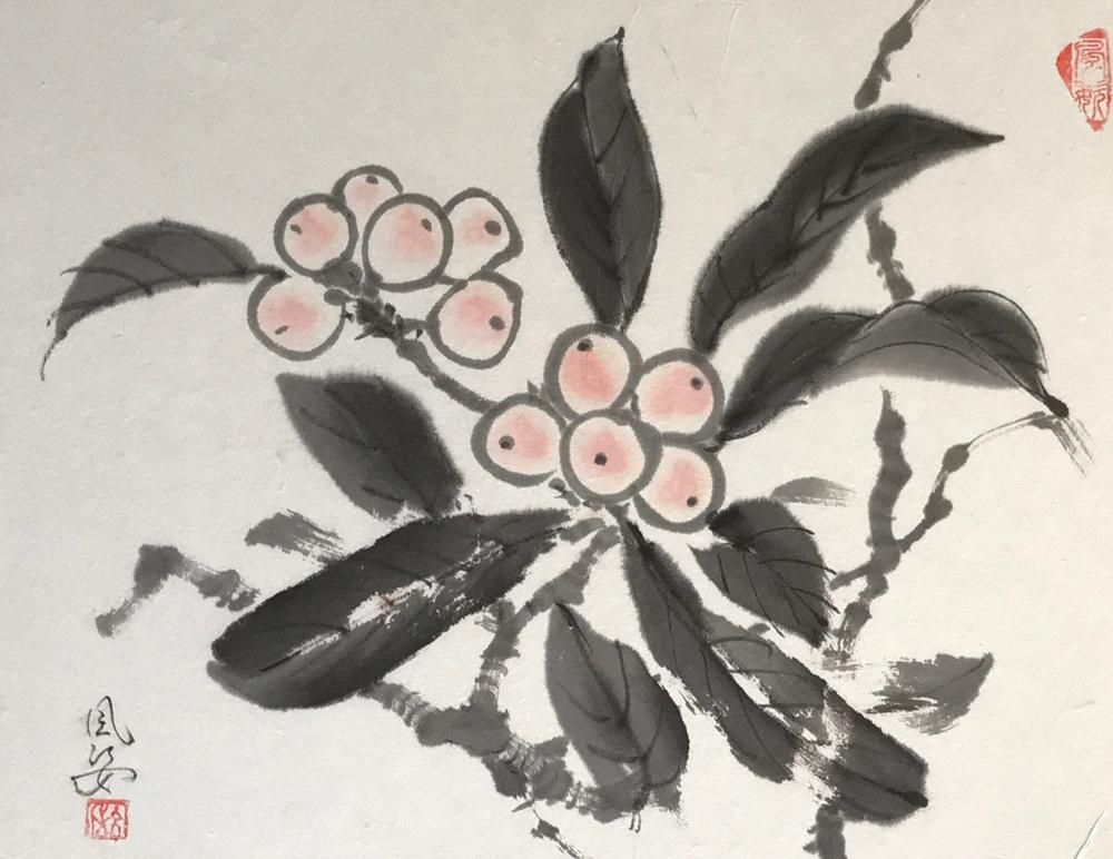 Biwa