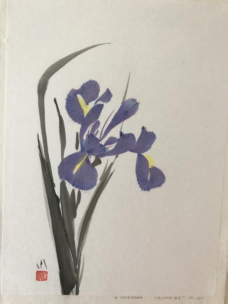 Iris2