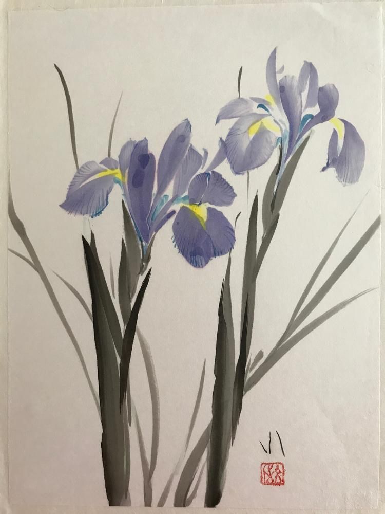 Iris