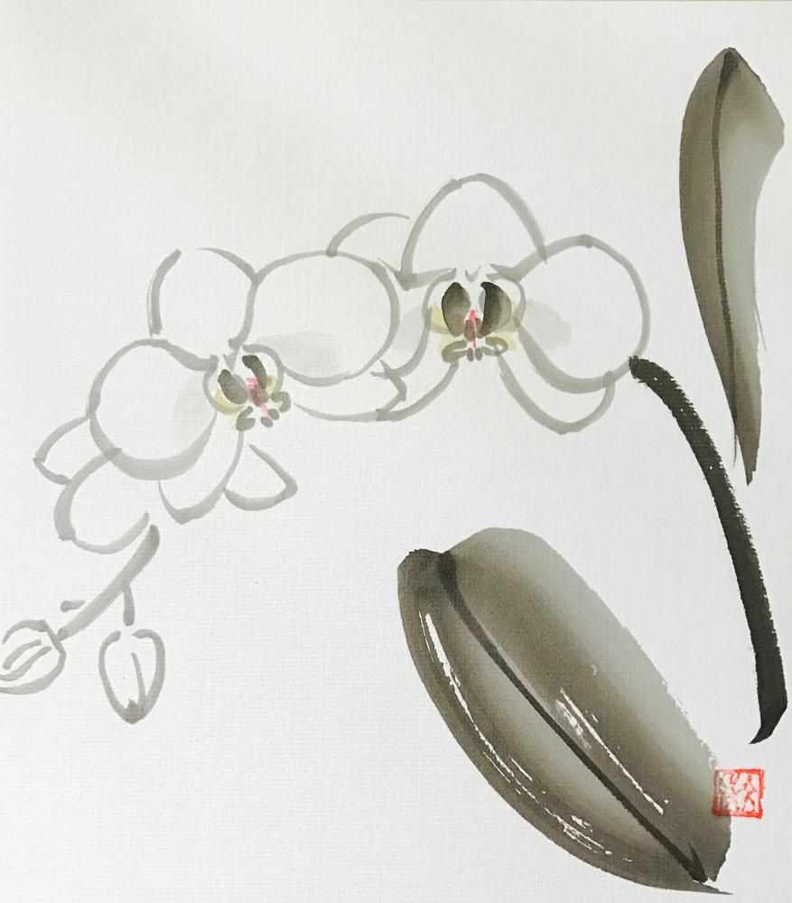 Kocho Orchid