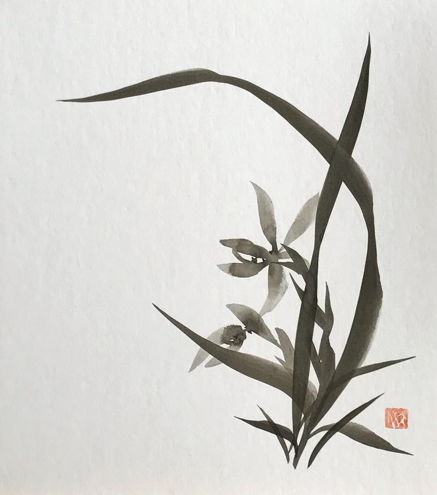 Orchid2