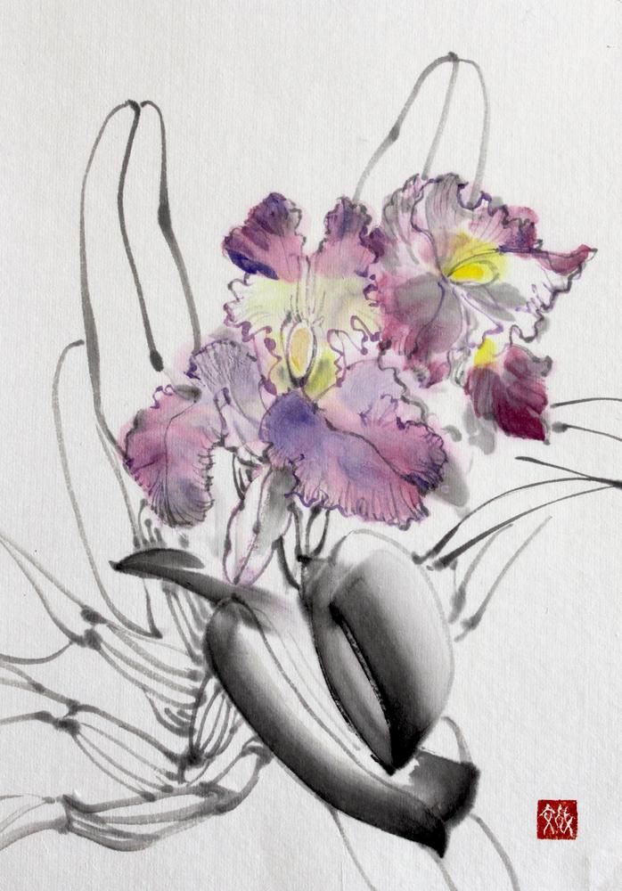 Orchid