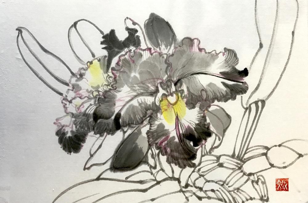 Orchid
