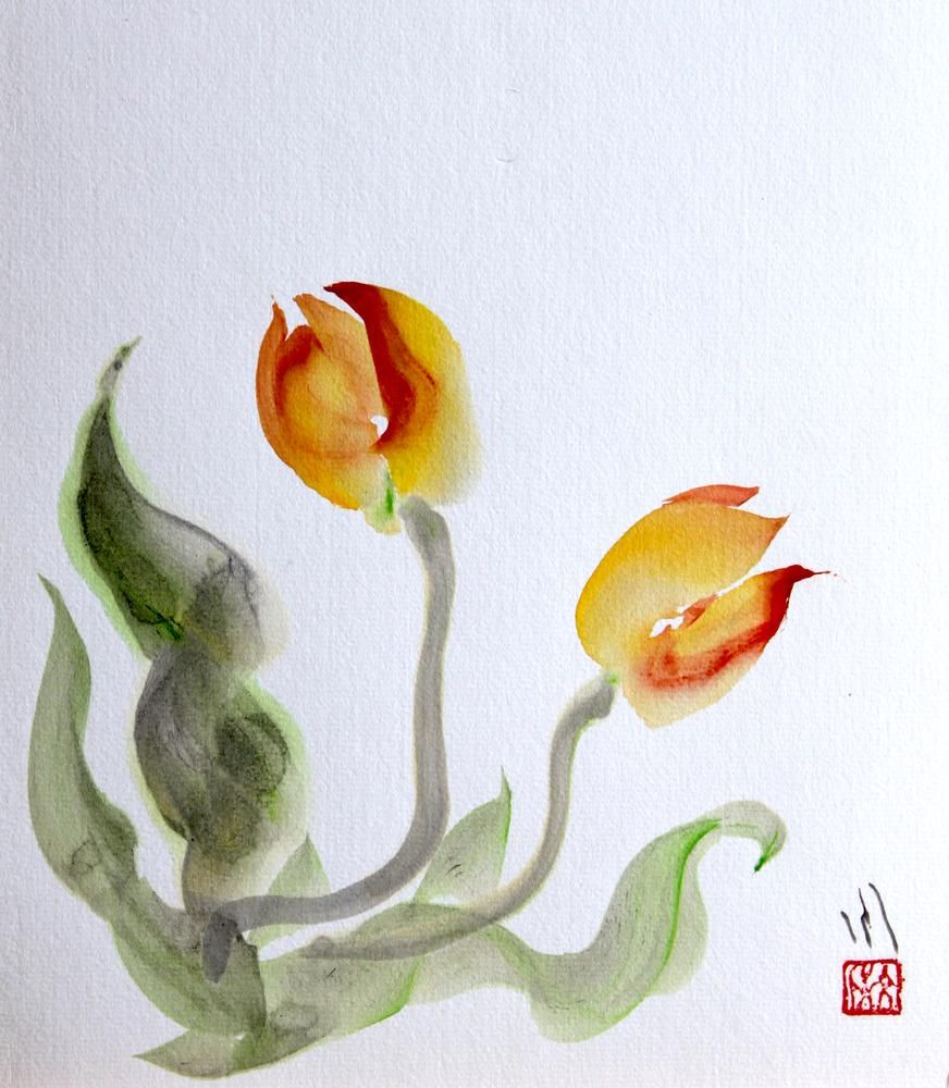 Tulips